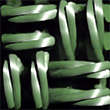 LoD-neuMIP-cgf24
