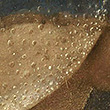 salvator_mundi-sg20